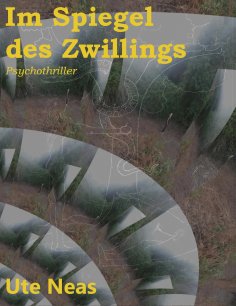 eBook: Im Spiegel des Zwillings