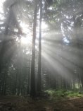 ebook: Und sag nicht, dass die Sonne scheint