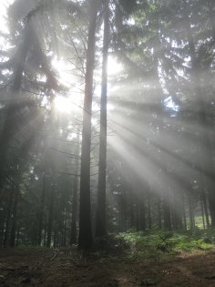 ebook: Und sag nicht, dass die Sonne scheint
