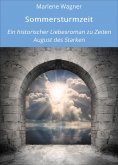 eBook: Sommersturmzeit