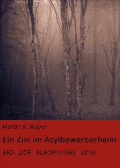 eBook: Ein Zivi im Asylbewerberheim