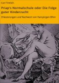 eBook: Priap's Normalschule oder Die Folge guter Kinderzucht