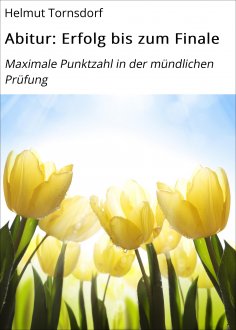 eBook: Abitur: Erfolg bis zum Finale