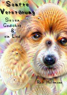 ebook: Sanfte Verstörung