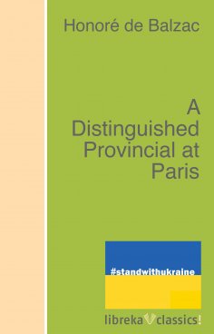 ebook: A Distinguished Provincial at Paris