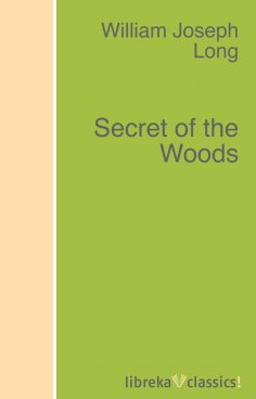 ebook: Secret of the Woods