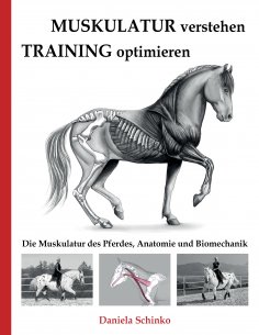 ebook: Muskulatur verstehen - Training optimieren