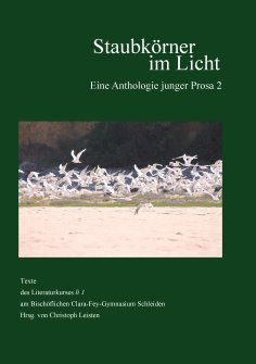 eBook: Staubkörner im Licht