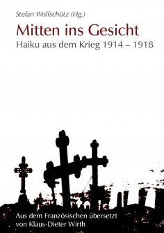 eBook: Mitten ins Gesicht