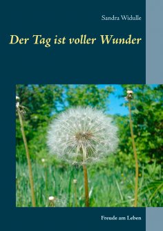 ebook: Der Tag ist voller Wunder
