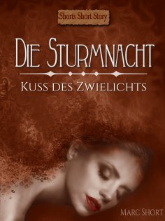 eBook: Die Sturmnacht