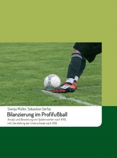 ebook: Bilanzierung im Profifußball