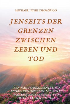 eBook: JENSEITS DER GRENZEN ZWISCHEN LEBEN UND TOD