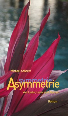 eBook: Asymmetrie