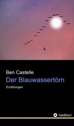 ebook: Der Blauwassertörn