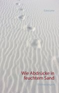 ebook: Wie Abdrücke in feuchtem Sand