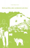 ebook: Nicht perfekt aber verdammt nah dran