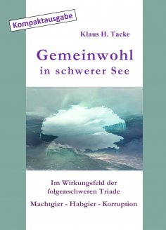 eBook: Gemeinwohl in schwerer See