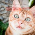 eBook: Matthi's Alltagssorgen - Sprichst Du auch mit deiner Katze?