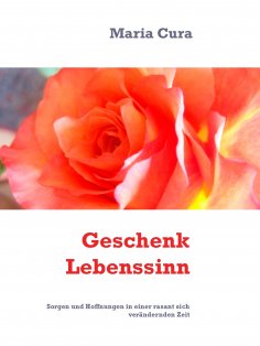 eBook: Geschenk Lebenssinn