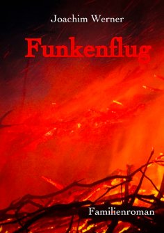 ebook: Funkenflug