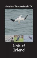 eBook: Birds of Irland