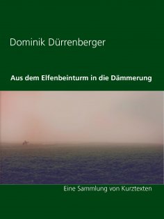 ebook: Aus dem Elfenbeinturm in die Dämmerung