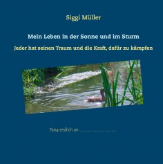 ebook: Mein Leben in der Sonne und im Sturm