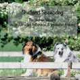 eBook: Shetland Sheepdog - Magisches Wesen, bezauberndes Fellknäuel und treuster Freund