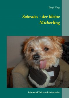 eBook: Sokrates - der kleine Mickerling