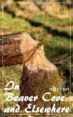 eBook: In Beaver Cove and Elsewhere (Matt Crim) (Literary Thoughts Edition)