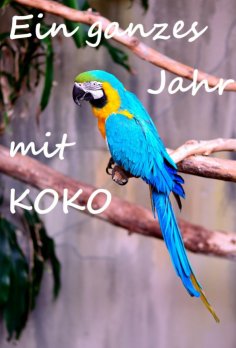 ebook: Ein ganzes Jahr mit Koko