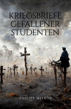 ebook: Kriegsbriefe gefallener Studenten