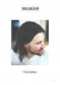 ebook: Delirând