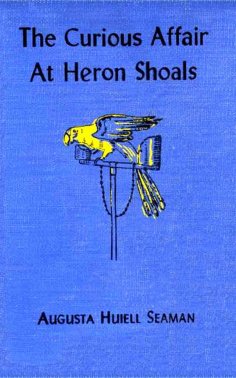 eBook: The Curious Affair at Heron Shoals