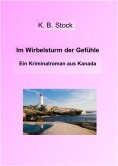 eBook: Im Wirbelsturm der Gefühle