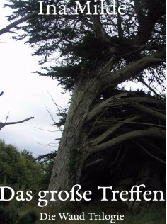 ebook: Das große Treffen