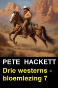 eBook: Drie westerns - bloemlezing 7