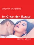 eBook: Im Orkan der Ekstase