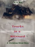 eBook: Tracks in a Blizzard