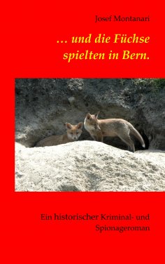 eBook: ... und die Füchse spielten in Bern.