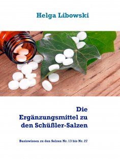 eBook: Die Ergänzungsmittel zu den Schüßler-Salzen