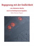 ebook: Begegnung mit der Endlichkeit