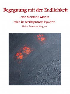 eBook: Begegnung mit der Endlichkeit