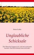 ebook: Unglaubliche Schicksale
