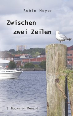ebook: Zwischen zwei Zeilen