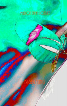 ebook: Begegnung