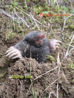 ebook: Pangäa