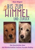 ebook: Bis zum Himmel und zurück