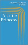 eBook: A Little Princess